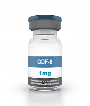 GDF-8 1mg