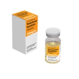 Testosterone Enanthate 250mg